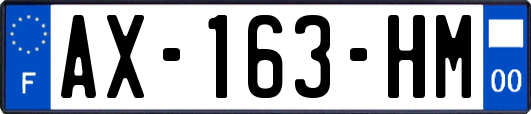 AX-163-HM