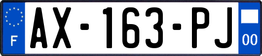 AX-163-PJ