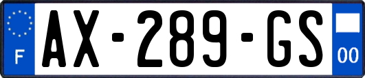 AX-289-GS