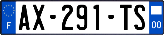 AX-291-TS