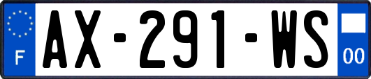 AX-291-WS