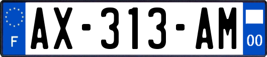 AX-313-AM