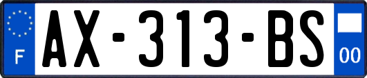 AX-313-BS