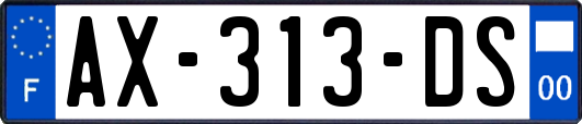 AX-313-DS