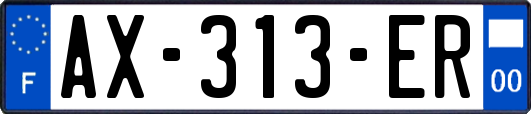 AX-313-ER