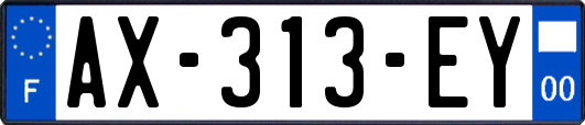 AX-313-EY