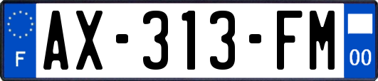 AX-313-FM