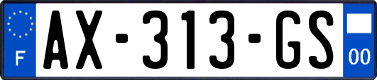 AX-313-GS