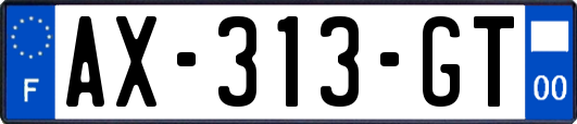 AX-313-GT