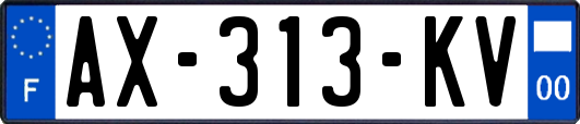 AX-313-KV