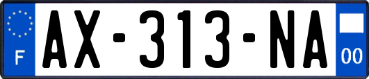 AX-313-NA