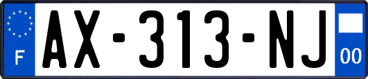 AX-313-NJ