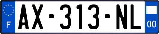 AX-313-NL