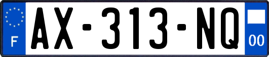 AX-313-NQ