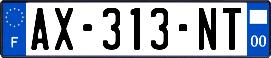 AX-313-NT