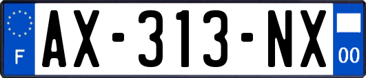 AX-313-NX