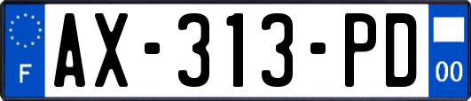 AX-313-PD
