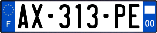 AX-313-PE
