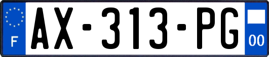 AX-313-PG