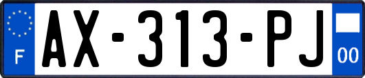 AX-313-PJ