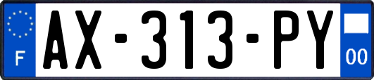AX-313-PY