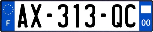 AX-313-QC