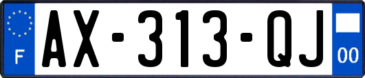 AX-313-QJ