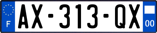 AX-313-QX