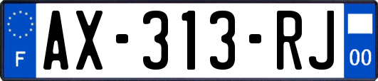 AX-313-RJ