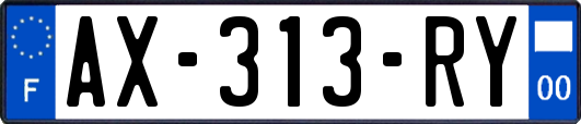 AX-313-RY
