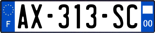 AX-313-SC