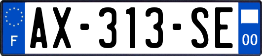 AX-313-SE