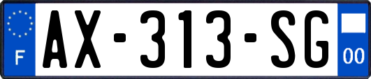 AX-313-SG