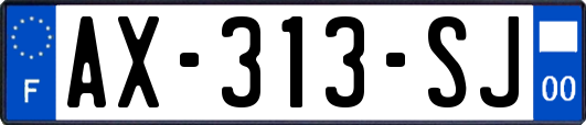 AX-313-SJ