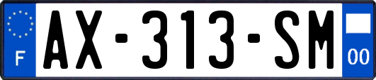 AX-313-SM