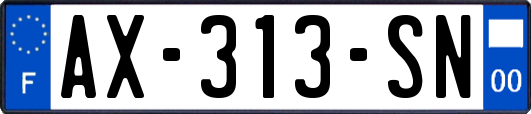 AX-313-SN