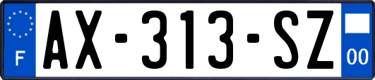 AX-313-SZ