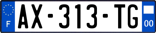 AX-313-TG