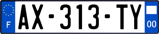 AX-313-TY