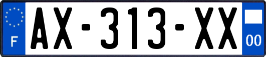 AX-313-XX