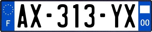 AX-313-YX