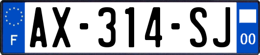 AX-314-SJ