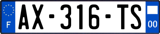 AX-316-TS
