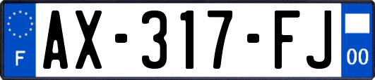 AX-317-FJ