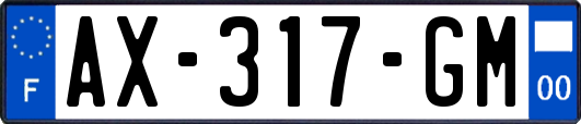 AX-317-GM
