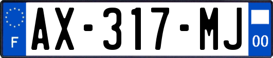 AX-317-MJ