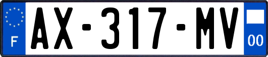 AX-317-MV
