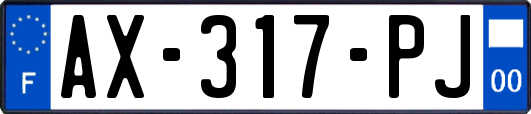 AX-317-PJ