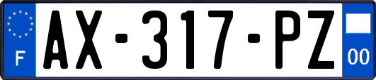 AX-317-PZ
