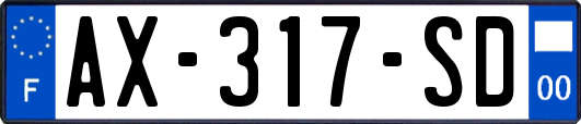 AX-317-SD